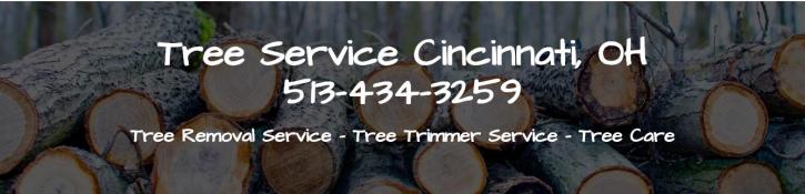 Image for Cincinnati Tree Removal with ID of: 2536435