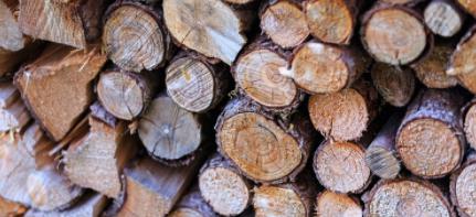 Image for Cincinnati Tree Removal with ID of: 2536445