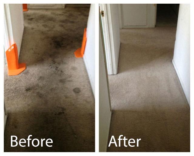 Image for Mission Tile And Carpet Care with ID of: 2537170