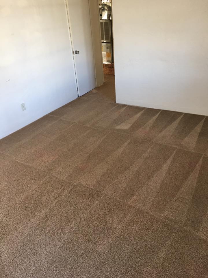 Image for Mission Tile And Carpet Care with ID of: 2537181