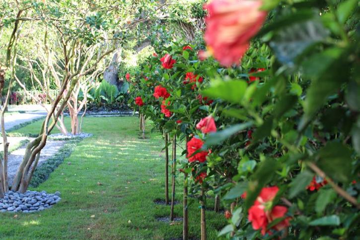 Image for Plant Professionals with ID of: 2537598