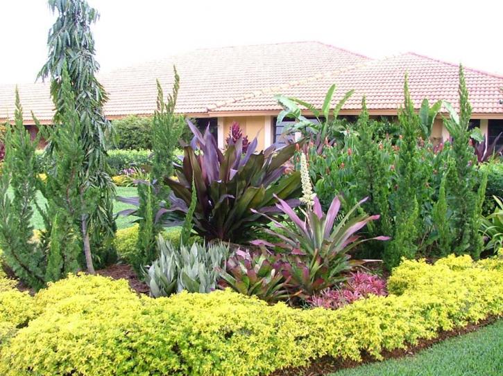 Image for Plant Professionals with ID of: 2537601