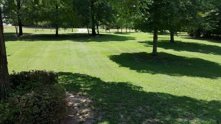 Image for Presto Landscapes with ID of: 2538276