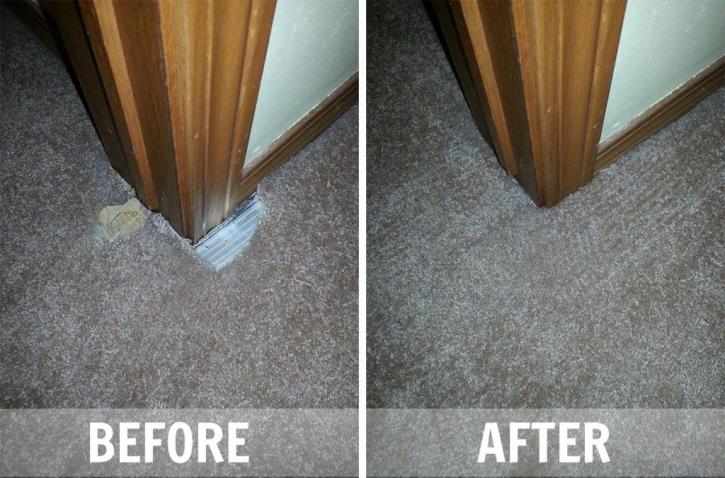 Image for Creative Carpet Repair Phoenix with ID of: 2539014