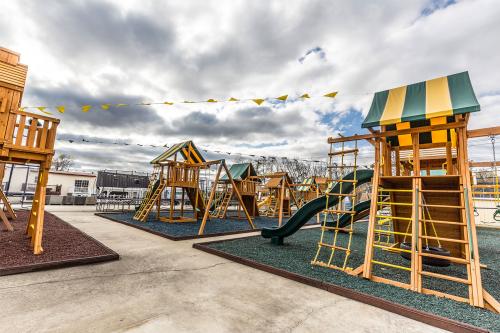 Image for Best in Backyards with ID of: 2539845