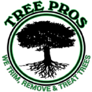 Image for Ocala Tree Service with ID of: 2540080