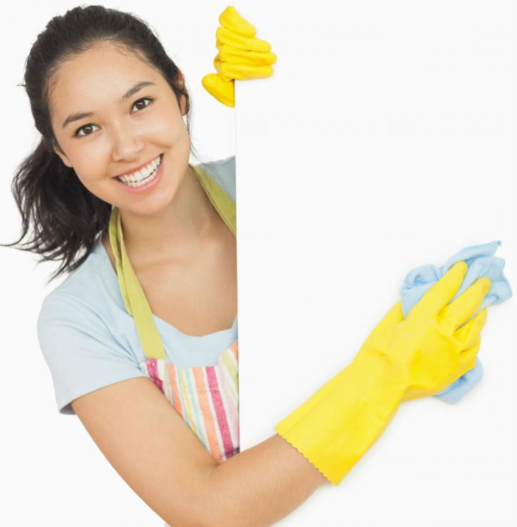 Image for Experts on Cleaning with ID of: 2541836