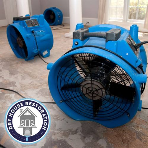 Image for Dry House Restoration with ID of: 2543179