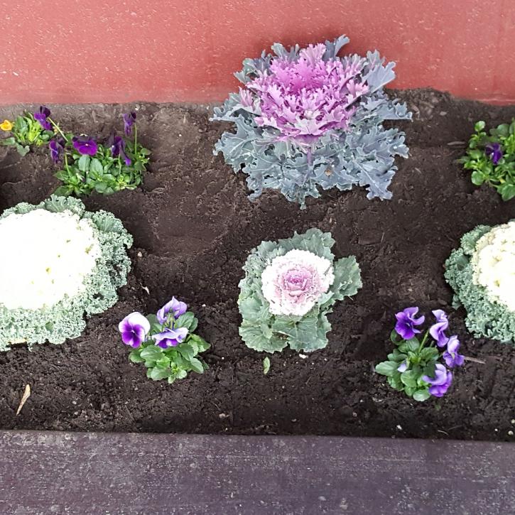Image for Thompson Landscape Company with ID of: 2543696