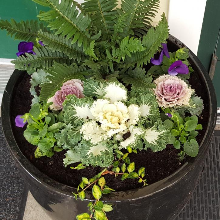 Image for Thompson Landscape Company with ID of: 2543698