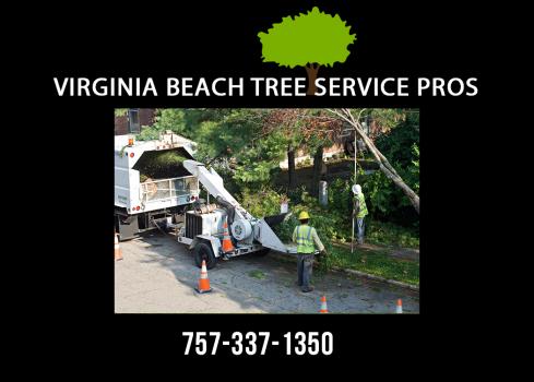 Image for Virginia Beach Tree Service Pros with ID of: 2544126
