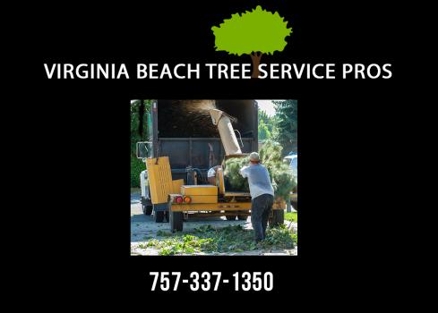 Image for Virginia Beach Tree Service Pros with ID of: 2544131