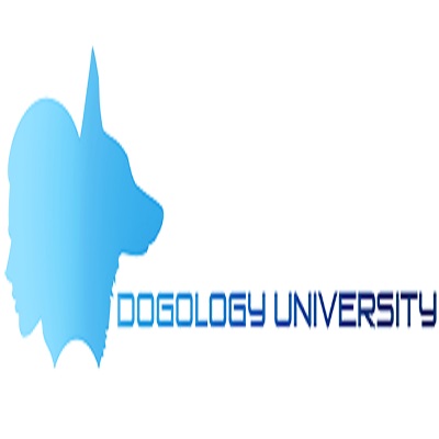 Image for Dogology University with ID of: 2544654