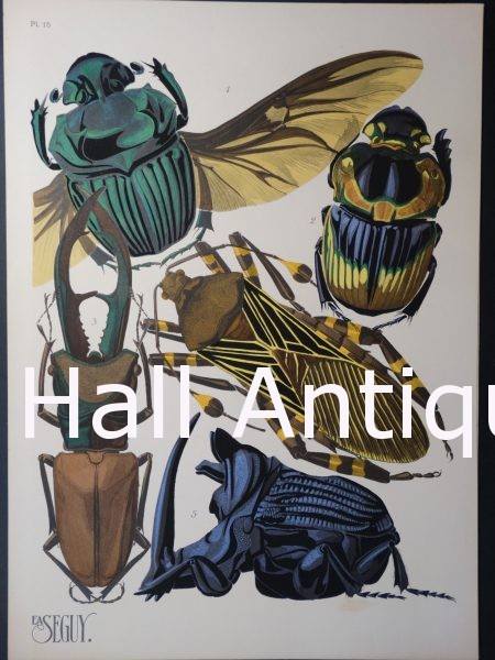 Image for Anne Hall Antique Prints with ID of: 2544913