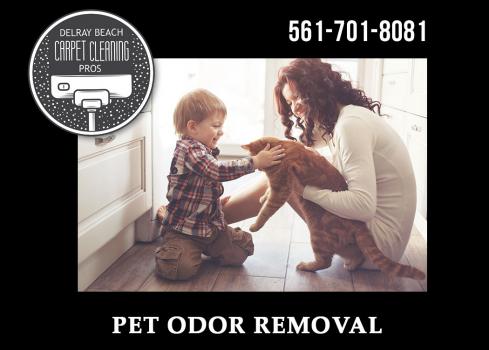 Image for Delray Beach Carpet Cleaning Pros with ID of: 2544950