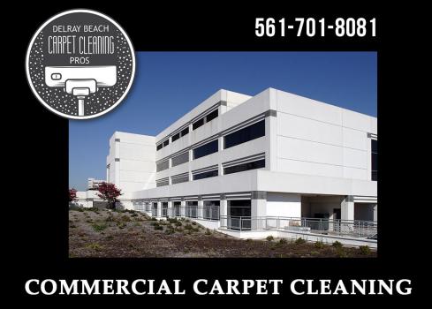 Image for Delray Beach Carpet Cleaning Pros with ID of: 2544951