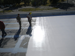 Image for Grizzly Roofing with ID of: 2546596