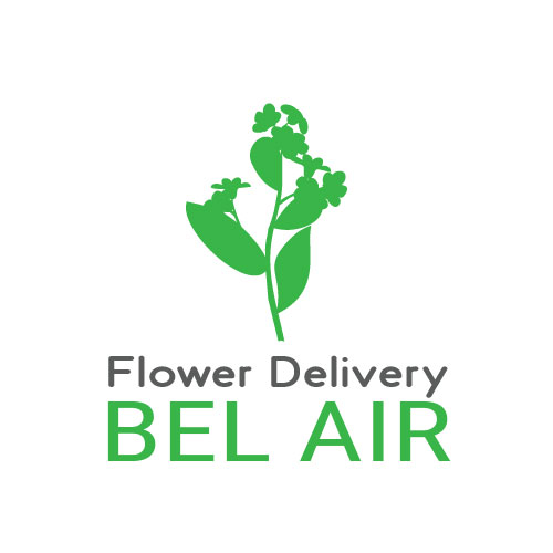 Image for Flower Delivery Bel Air with ID of: 2546932