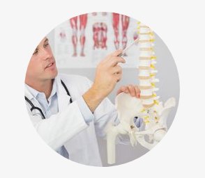 Image for Balance Chiropractic with ID of: 2547564