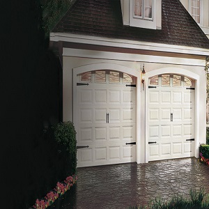 Image for Lion Garage Door with ID of: 2547876