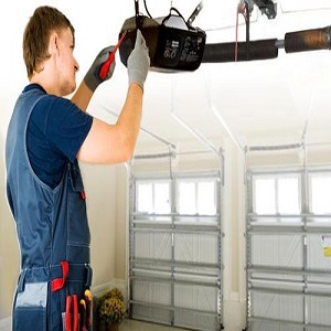 Image for Lion Garage Door with ID of: 2547877