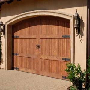 Image for Lion Garage Door with ID of: 2547878