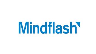 Image for Mindflash with ID of: 2548390