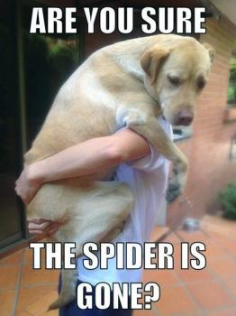Image for Merle's Pest Control with ID of: 2548702