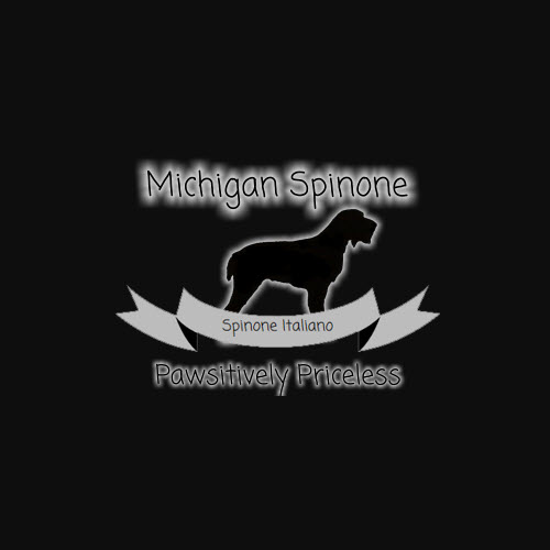 Image for Michigan Spinone with ID of: 2549870