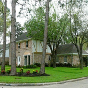 Image for Parma Tree Service with ID of: 2550675