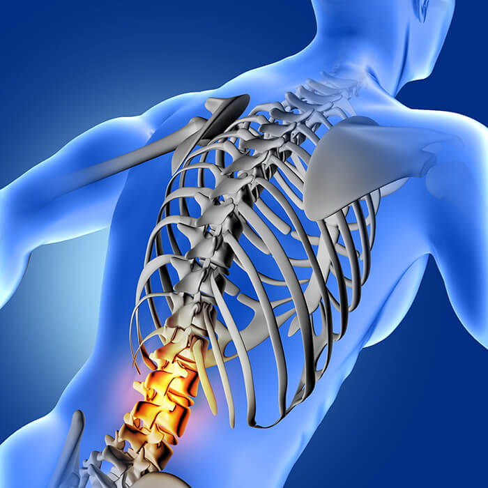 Image for Renew Chiropractic with ID of: 2551649