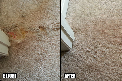 Image for Creative Carpet Repair Cypress CA with ID of: 2552067