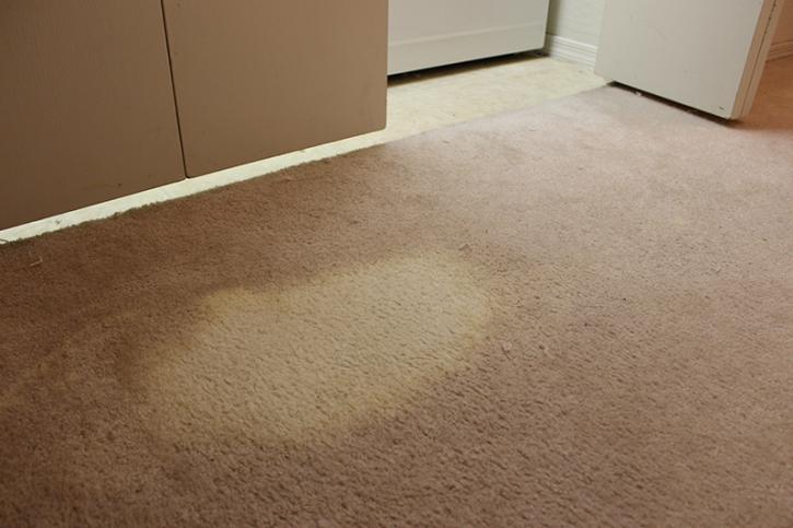 Image for Creative Carpet Repair Cypress CA with ID of: 2552070
