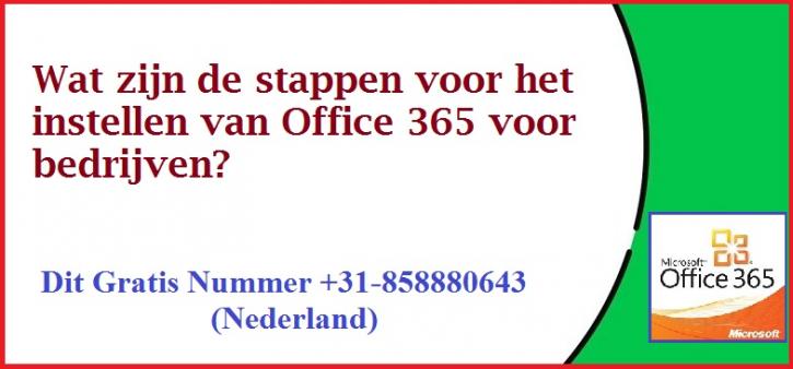 Image for Wat zijn de stappen voor het instellen van Office 365 voor bedrijven? with ID of: 2552557