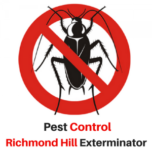 Image for Pest Control Richmond Hill Exterminator with ID of: 2552880
