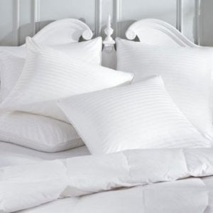Image for Adorable Pillows Inc. with ID of: 2553128