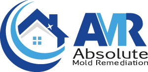 Image for Absolute Mold Remediation Ltd with ID of: 2553303
