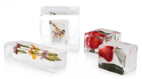 Image for Just Ice, Inc. with ID of: 2553580