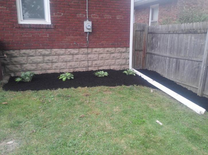 Image for TD landscape & Tree LLC with ID of: 2553871