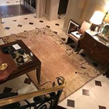 Image for Contemporary Area Rugs with ID of: 2554069