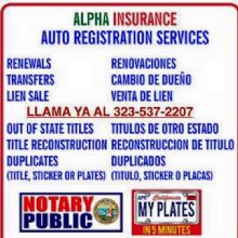 Image for Alpha Insurance & Auto Registration with ID of: 2556873