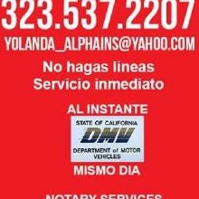 Image for Alpha Insurance & Auto Registration with ID of: 2556874