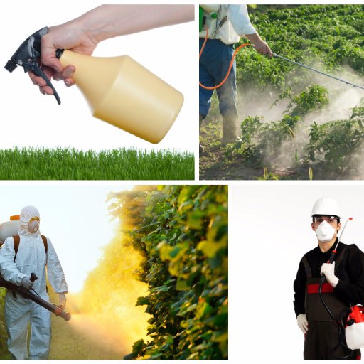 Image for Complete Pest Elimination with ID of: 2557466
