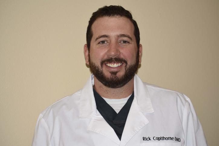 Image for Accelerated Dental with ID of: 2558314
