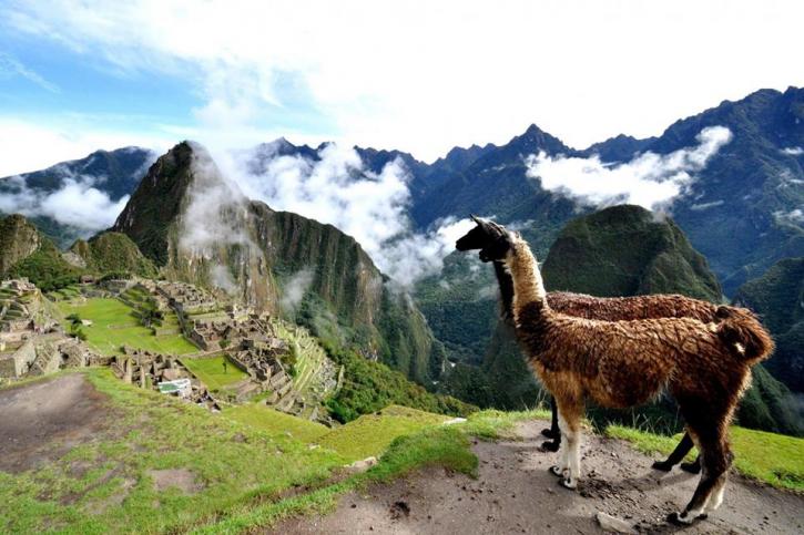 Image for Guiding Peru with ID of: 2560678