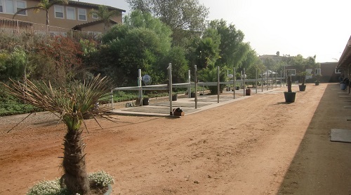 Image for Triple Crown Arenas with ID of: 2563089