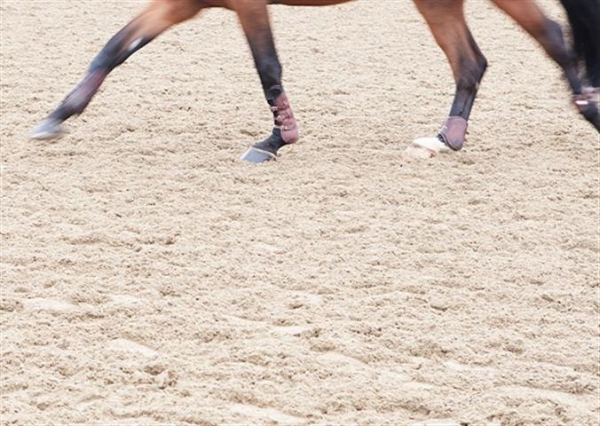 Image for Triple Crown Arenas with ID of: 2563090