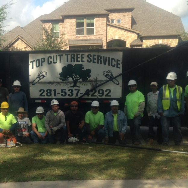 Image for Top Cut Tree Service with ID of: 2564368
