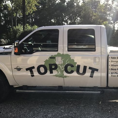 Image for Top Cut Tree Service with ID of: 2564369