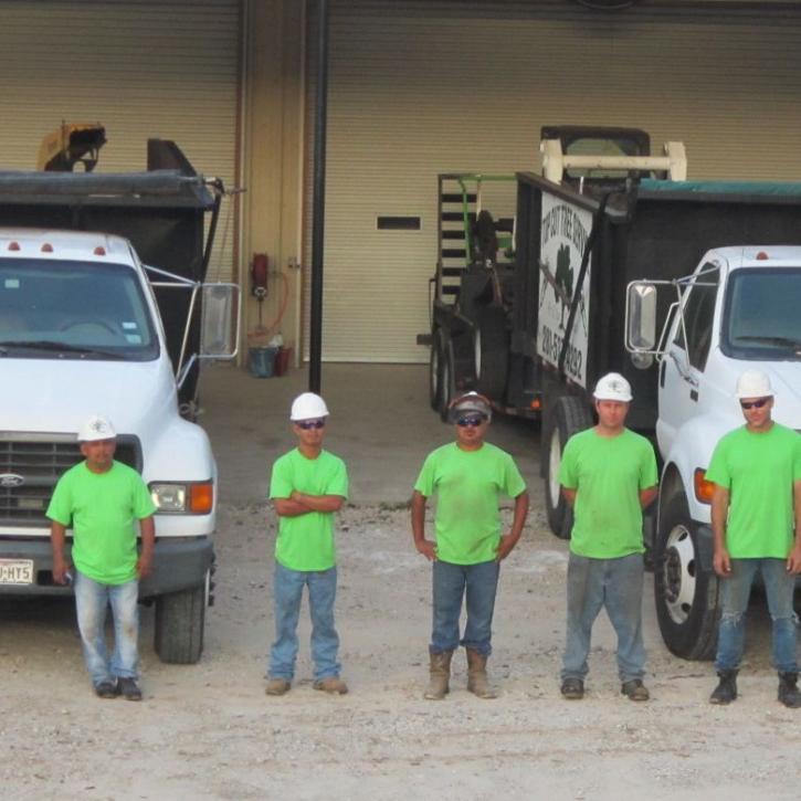 Image for Top Cut Tree Service with ID of: 2564371
